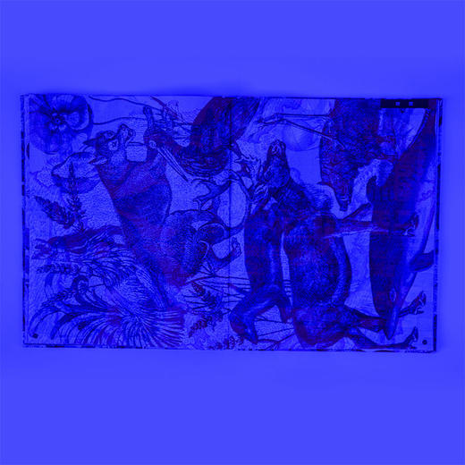 发现世界 凯特戴维斯 等著 儿童科普 旅行指南 人文地理 中信出版社图书 正版 商品图6