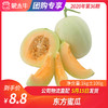 【团购】东方蜜瓜1KG±100g 商品缩略图0