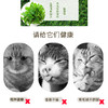 猫薄荷粉罐装 260ml猫零食逗猫去毛球猫草排毛球（一件代发，省内包邮） 商品缩略图1