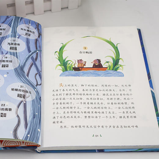 【6岁+】国际大奖儿童文学美图珍藏版 7 册！精美插图，环保印刷，小学课外阅读名著！ 商品图3