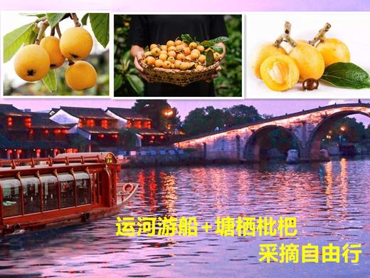 【自由行】运河游船+塘栖枇杷采摘游 商品图0