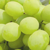 澳洲OLIVEGROVE甜心青提|皮极薄,牙齿一碰就爆炸的脆,酥甜清香!1斤 商品缩略图4
