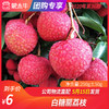 【团购】白糖罂荔枝250g±50g 商品缩略图0