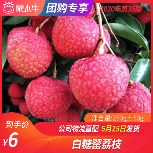 【团购】白糖罂荔枝250g±50g 商品图0