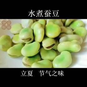 夏天吃豆胜吃肉，水煮蚕豆，夏日第一豆！