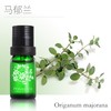 1F宝琪兰马玉兰精油10ml 商品缩略图0