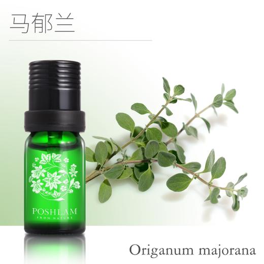 1F宝琪兰马玉兰精油10ml 商品图0