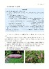 *精选好书半价包邮《辽宁木本植物志》 商品缩略图4