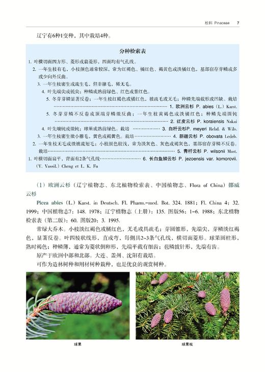 *精选好书半价包邮《辽宁木本植物志》 商品图4