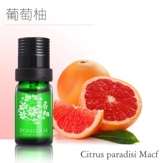 1F宝琪兰葡萄柚精油 商品图0