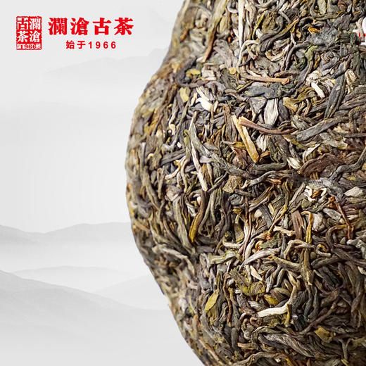 澜沧古茶2018春億金瓜景迈古树纯料明前春茶叶礼盒装1000g 商品图4