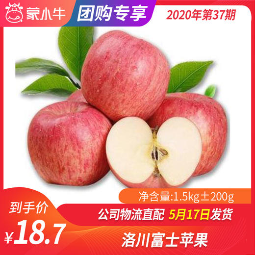 【团购】洛川富士苹果1.5KG±200g 商品图0