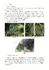 *精选好书半价包邮《辽宁木本植物志》 商品缩略图3