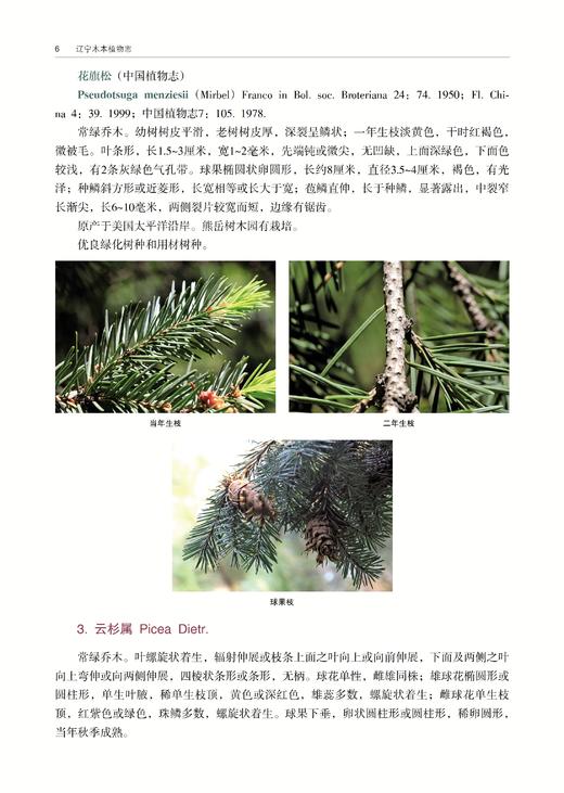 *精选好书半价包邮《辽宁木本植物志》 商品图3