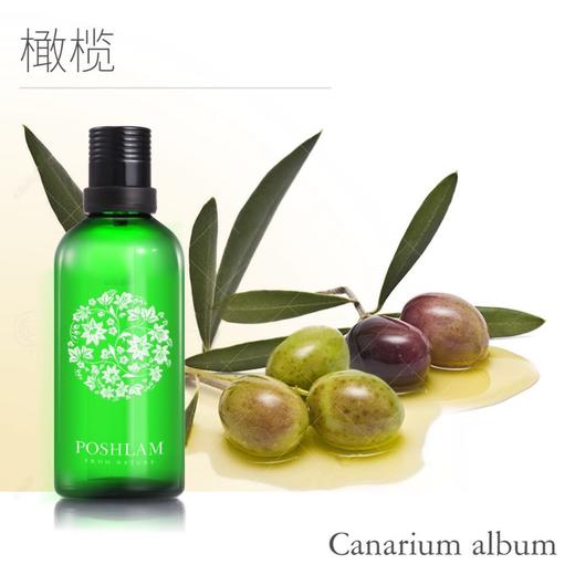 1F宝琪兰橄榄基础油 商品图0