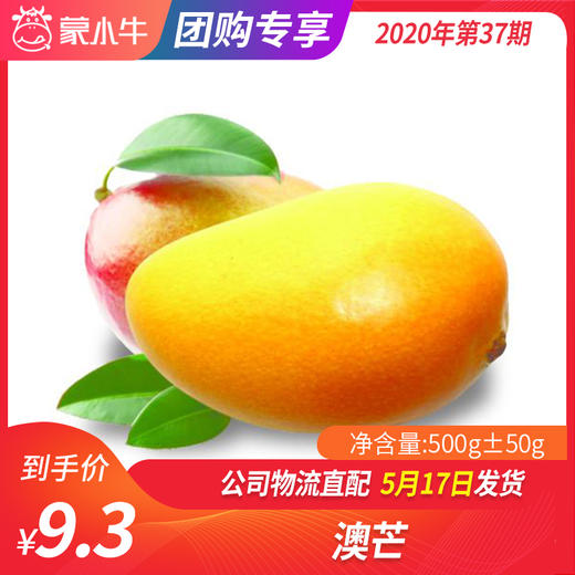 【团购】澳芒 500g±50g 商品图0