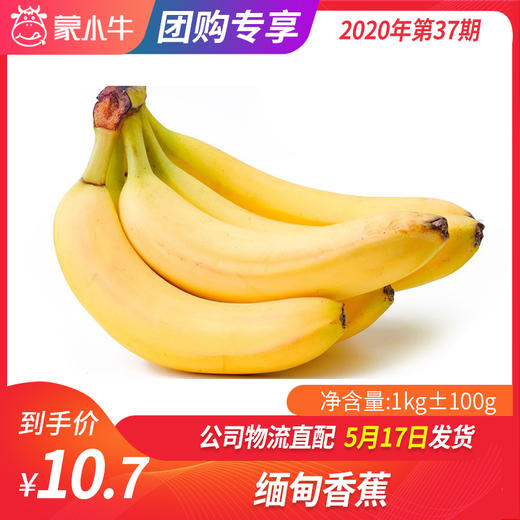 【团购】缅甸香蕉1KG±100g 商品图0