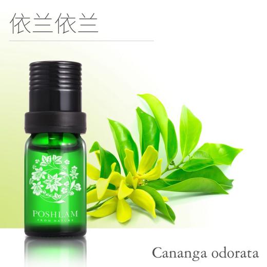 1F宝琪兰依兰精油 商品图0