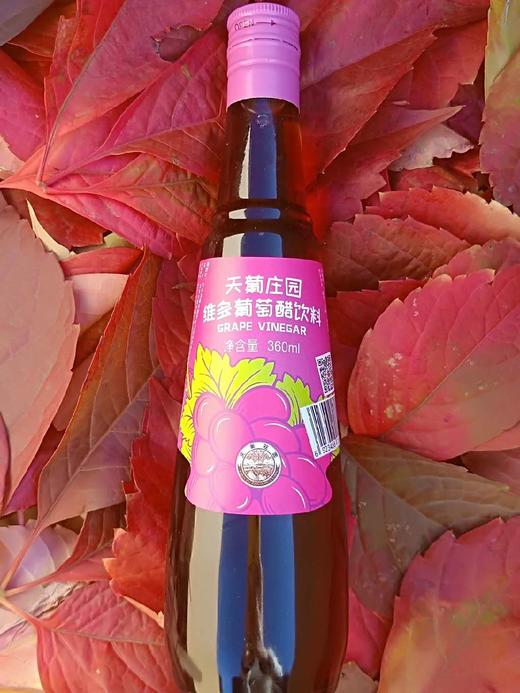 天葡庄园维多葡萄醋 商品图0