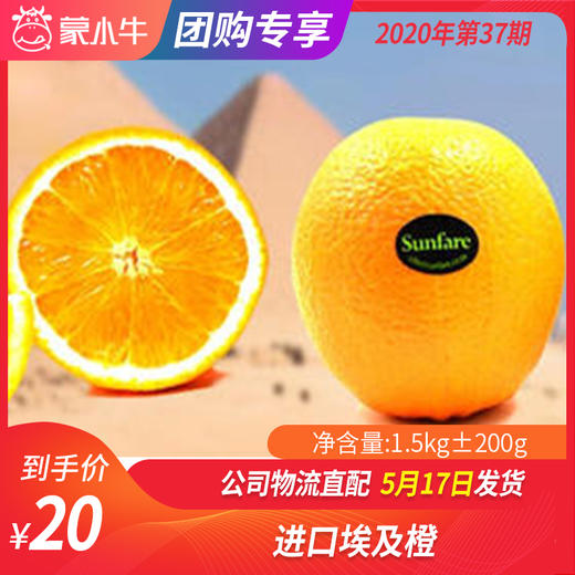 【团购】进口埃及橙1.5KG±200g 商品图0