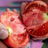 【新疆沙瓤自然成熟大番茄】超浓番茄味，味道超浓郁 ，比一般番茄容易出汁 商品缩略图0