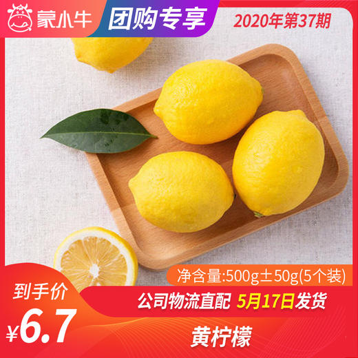 【团购】黄柠檬500g±50g（5个装） 商品图0