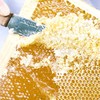 蓝莓蜜500克 商品缩略图8