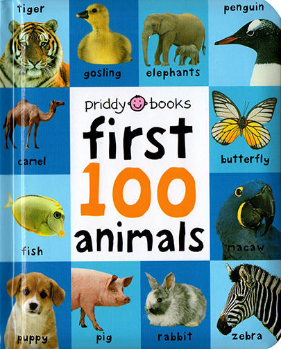 Mia老师推荐 英文原版绘本纸板书 启蒙认知100词 First 100 Trucks/Colors/Animals 系列 3册 幼儿图解词典 商品图3