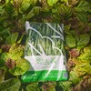 空心菜 300g/袋 商品缩略图1
