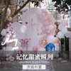 【童禧派对】记忆甜蜜瞬间 商品缩略图0