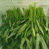 空心菜 300g/袋 商品缩略图0
