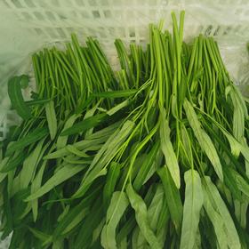 空心菜 300g/袋