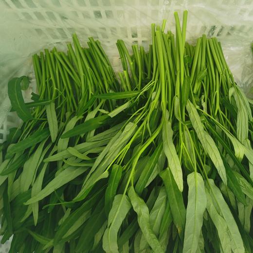 空心菜 300g/袋 商品图0