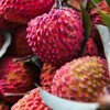 海南火山荔枝王5斤顺丰包邮 商品缩略图2