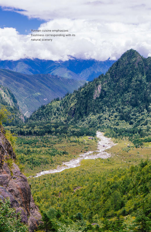 《中国进行时》Meanwhile in China 商品图1