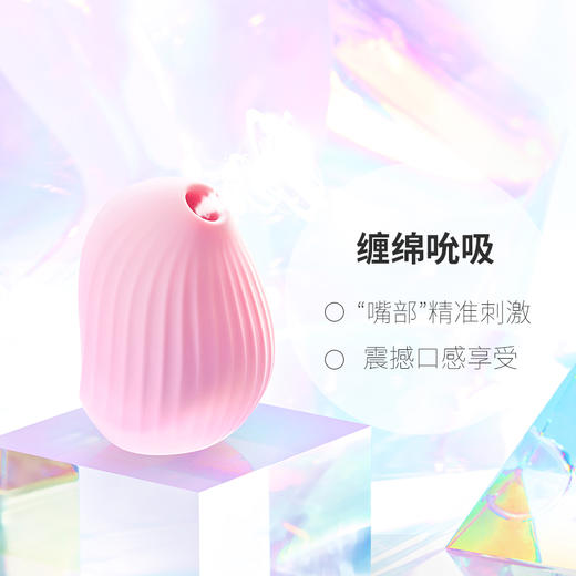 【送女神大礼包】CW逗豆鸟——爱人般亲昵 商品图3