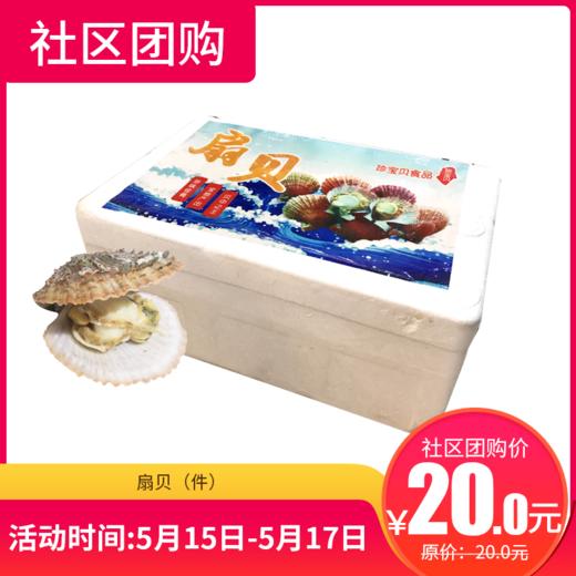 【社区团购】扇贝（件） 159243 商品图0
