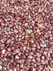 斑马豆 商品缩略图0