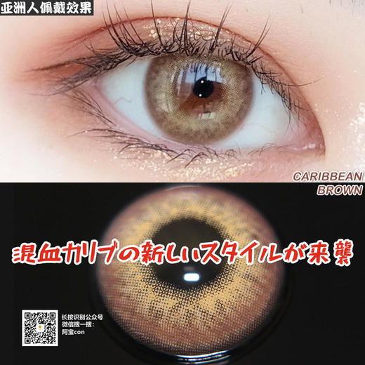 Caribbean海地棕【硅水凝胶】 商品图0