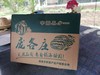 庞各庄头茬西瓜 商品缩略图2