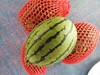 庞各庄头茬西瓜 商品缩略图3