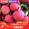 【水果团购】白糖罂荔枝250g±50g 商品缩略图0