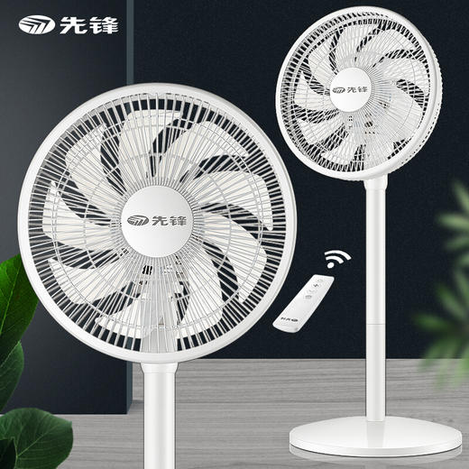 先锋遥控遥控落地扇定时9叶DLD-D15 商品图0