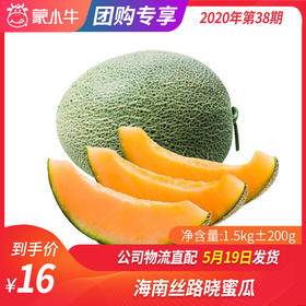 【水果团购】海南丝路晓蜜瓜1.5KG±200g