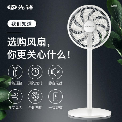 先锋遥控遥控落地扇定时9叶DLD-D15 商品图2