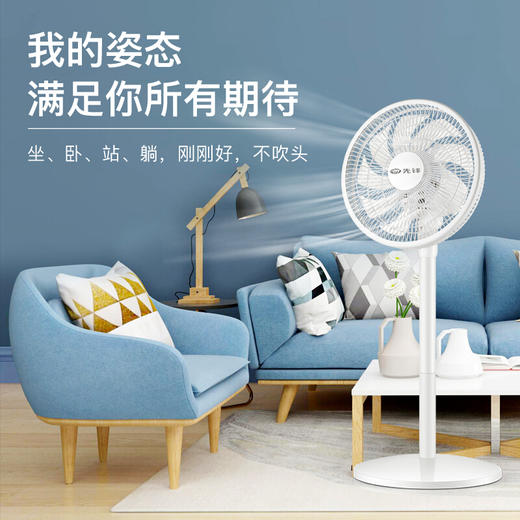 先锋遥控遥控落地扇定时9叶DLD-D15 商品图5