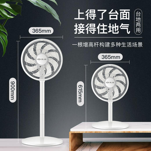 先锋遥控遥控落地扇定时9叶DLD-D15 商品图7