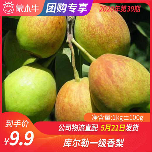 【水果团购】库尔勒一级香梨1KG±100g 商品图0