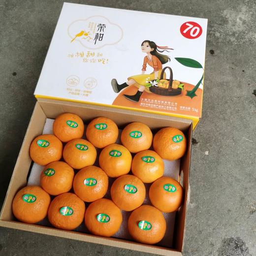 【推荐】云南大理甜荣柑9斤 商品图3