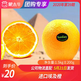 【水果团购】进口埃及橙1.5KG±200g